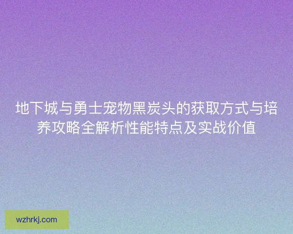 地下城与勇士宠物黑炭头的获取方式与培养攻略全解析性能特点及实战价值 地下城与勇士宠物黑炭头的获取方式与培养攻略全解析性能特点及实战价值