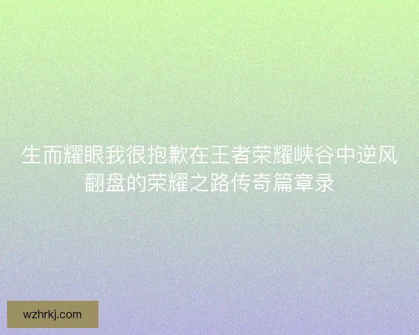生而耀眼我很抱歉在王者荣耀峡谷中逆风翻盘的荣耀之路传奇篇章录