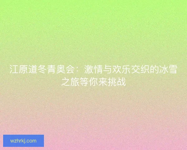 江原道冬青奥会：激情与欢乐交织的冰雪之旅等你来挑战