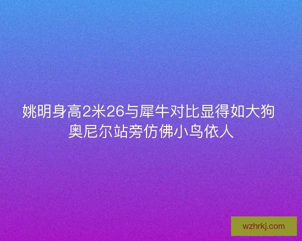 姚明身高2米26与犀牛对比显得如大狗 奥尼尔站旁仿佛小鸟依人