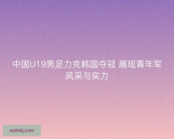 中国U19男足力克韩国夺冠 展现青年军风采与实力