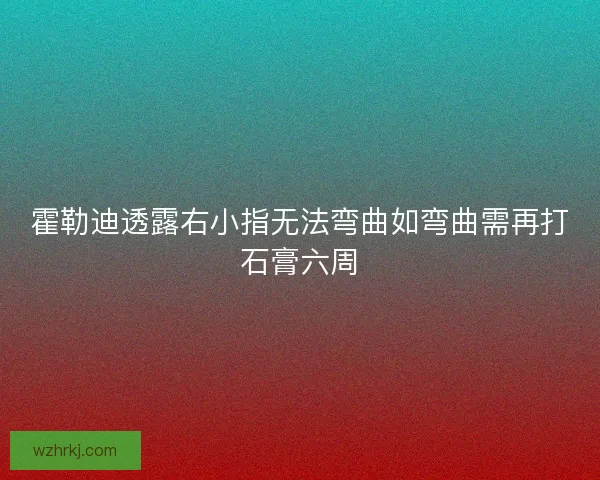 霍勒迪透露右小指无法弯曲如弯曲需再打石膏六周 霍勒迪透露右小指无法弯曲如弯曲需再打石膏六周